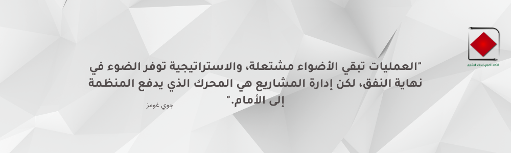 مدير المشروع